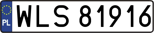 WLS81916