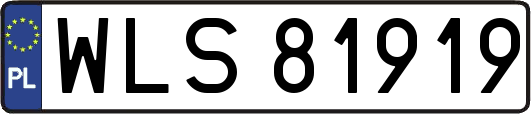 WLS81919