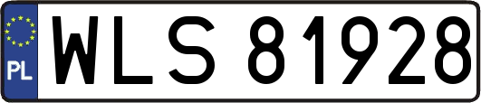 WLS81928