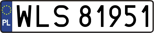 WLS81951