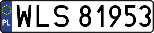 WLS81953