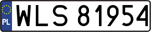 WLS81954