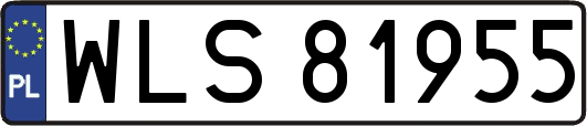 WLS81955