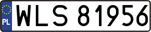 WLS81956