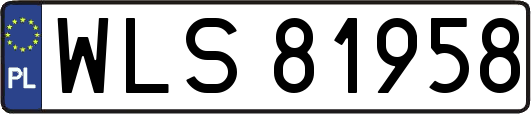 WLS81958