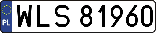 WLS81960