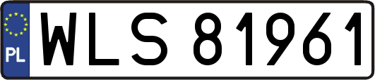 WLS81961