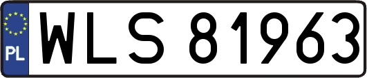 WLS81963