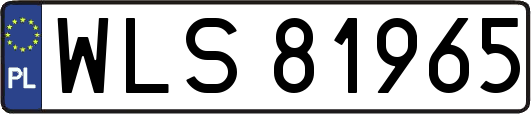 WLS81965
