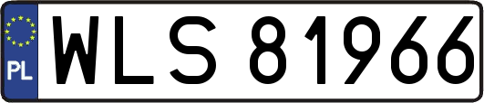 WLS81966