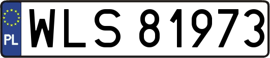 WLS81973