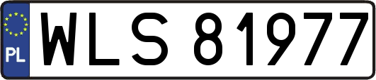 WLS81977