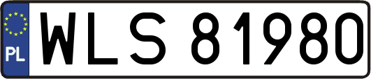 WLS81980