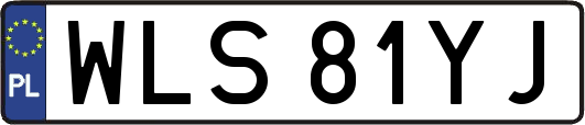 WLS81YJ