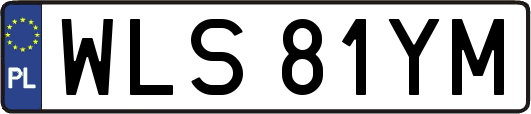 WLS81YM