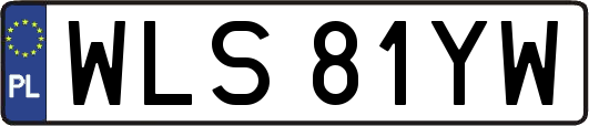 WLS81YW
