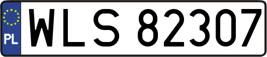 WLS82307