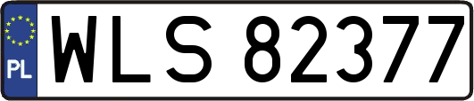 WLS82377