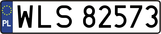 WLS82573