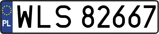 WLS82667