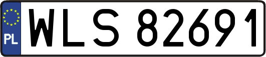 WLS82691