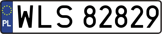 WLS82829