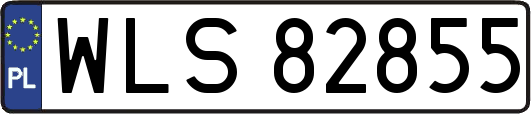 WLS82855