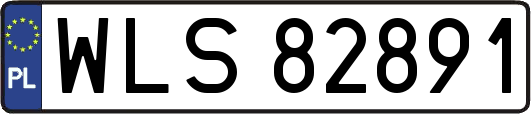 WLS82891
