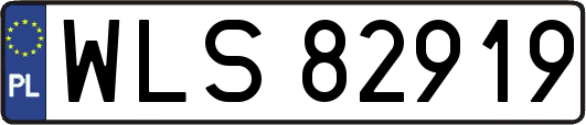 WLS82919