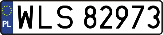 WLS82973