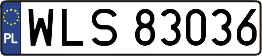 WLS83036