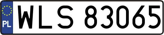 WLS83065