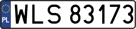 WLS83173