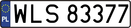 WLS83377