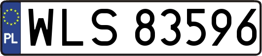 WLS83596