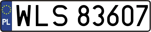 WLS83607