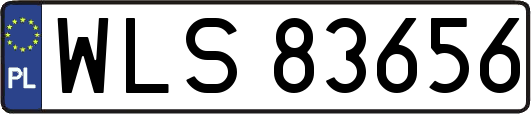 WLS83656