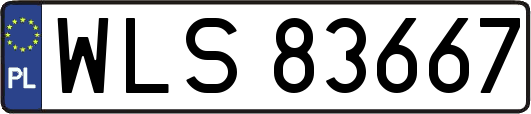 WLS83667