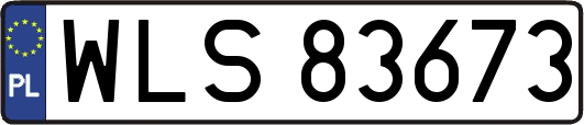 WLS83673