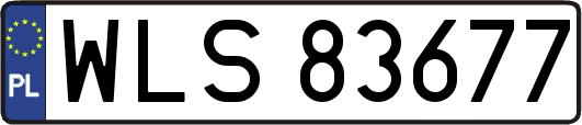 WLS83677