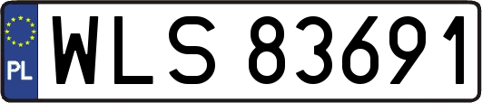 WLS83691