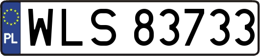 WLS83733