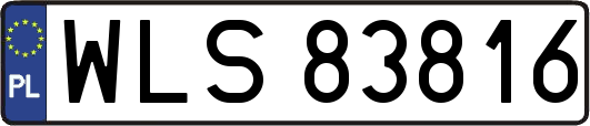 WLS83816