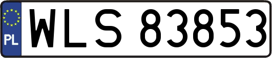 WLS83853