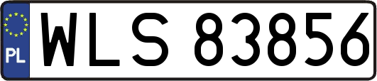 WLS83856