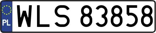 WLS83858