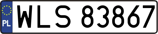 WLS83867
