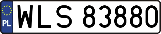 WLS83880