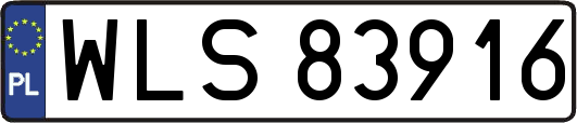 WLS83916