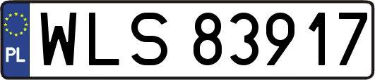 WLS83917
